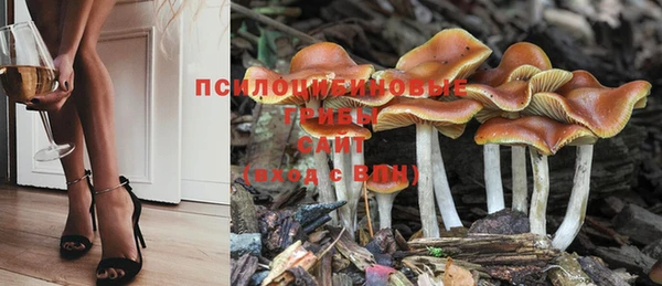 герыч Горняк