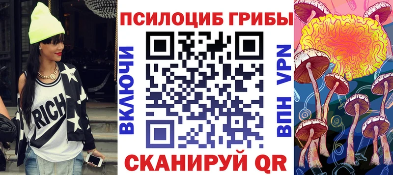 продажа наркотиков  Дивногорск  Псилоцибиновые грибы Magic Shrooms 