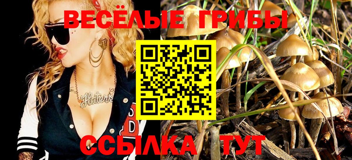 Псилоцибиновые грибы ЛСД  Вход с VPN  Галлюциногенные грибы мицелий  Дивногорск 